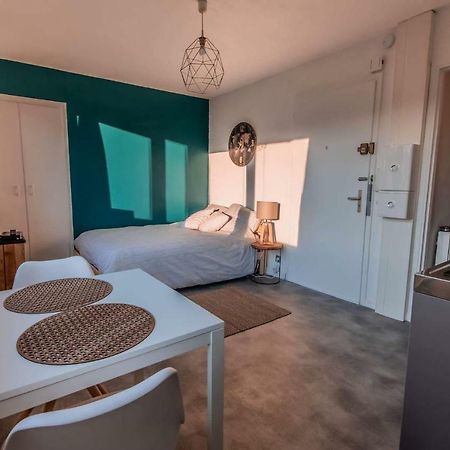 Charmant Lumineux Studio Esplanade Διαμέρισμα Στρασβούργο Εξωτερικό φωτογραφία